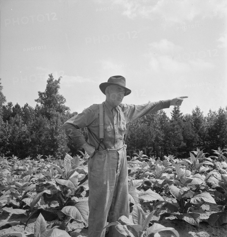 Tobacco farmer, owner of 100 acres. Person County, North Carolina.
