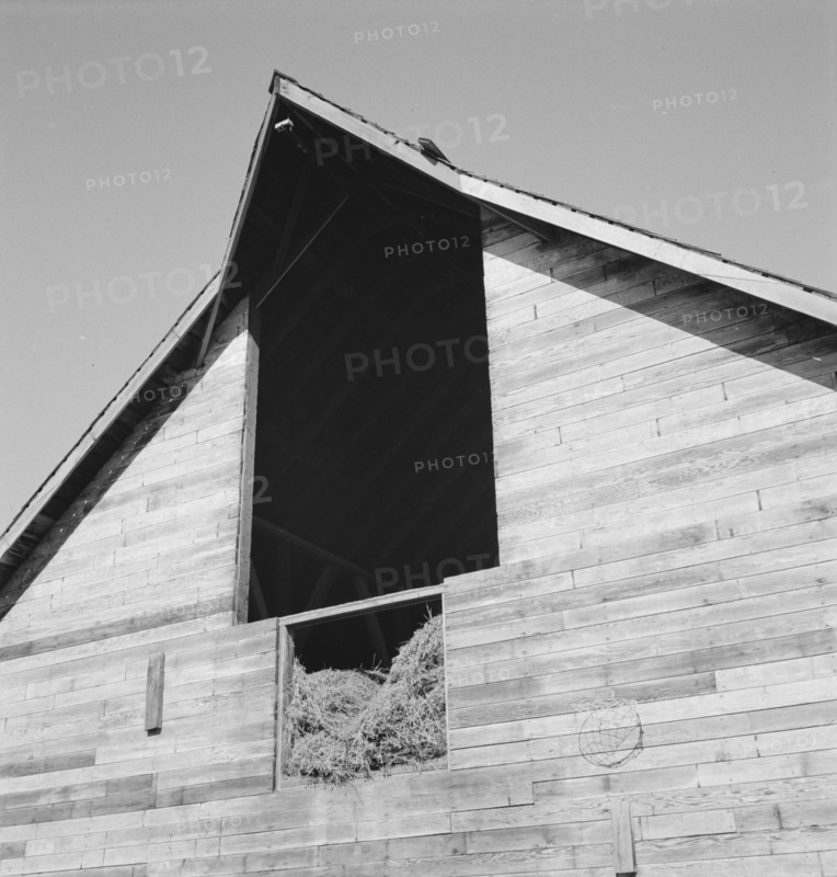 Detail of barn in northern Oregon. Irrigon, Morrow County, Oregon.