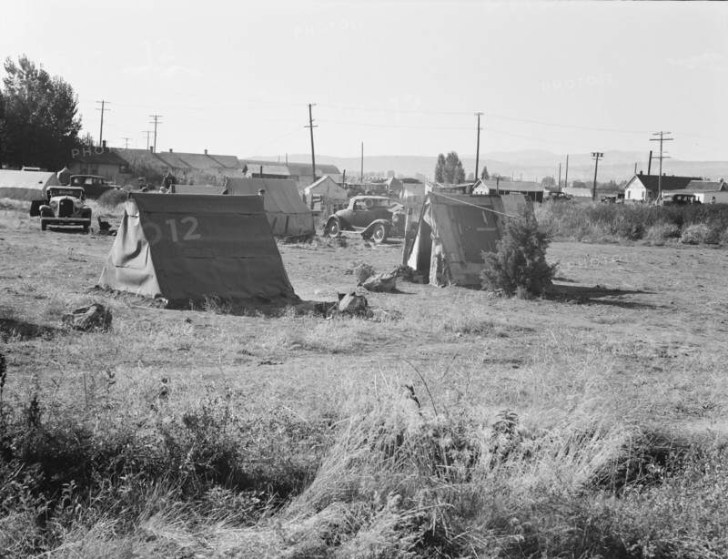 Squatter camp entering potato town. Malin, Klamath County, Oregon.