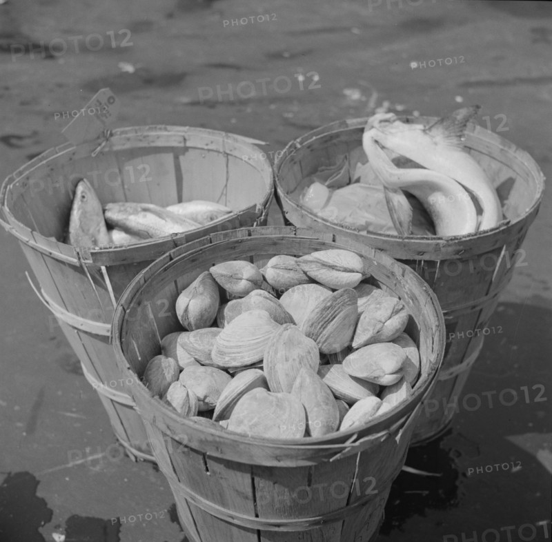 New York, New York. Baskets of seafood at the Fulton fish market.