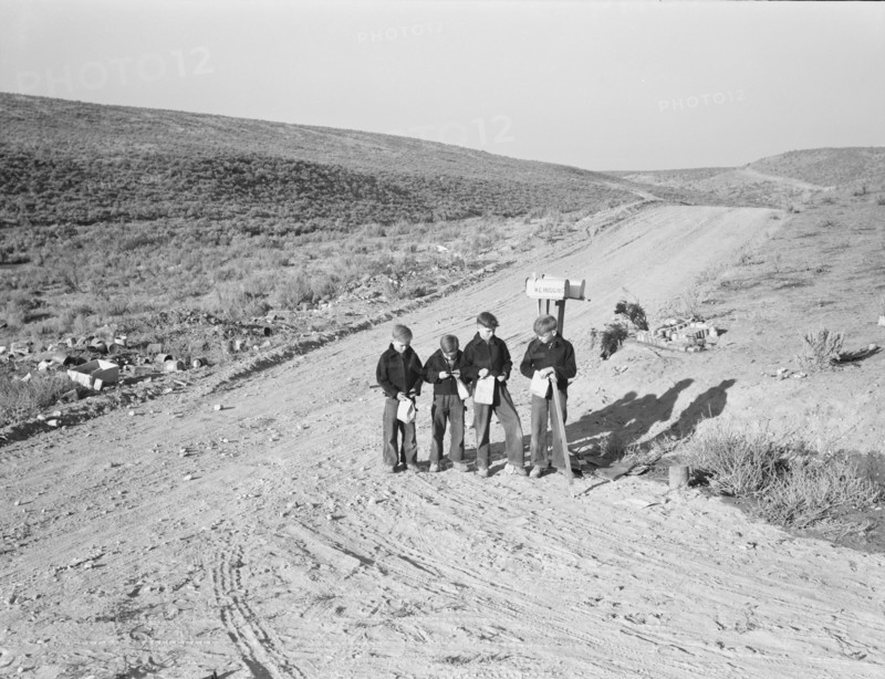 Boys wait for school bus in the morning. Malheur County, Oregon.