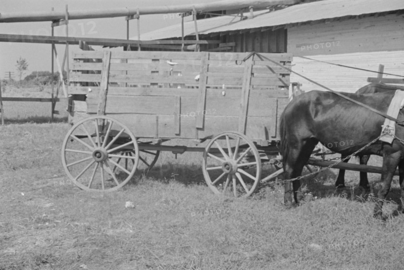 At the cotton gin. Cotton gin and wagons. Hale County, Alabama.