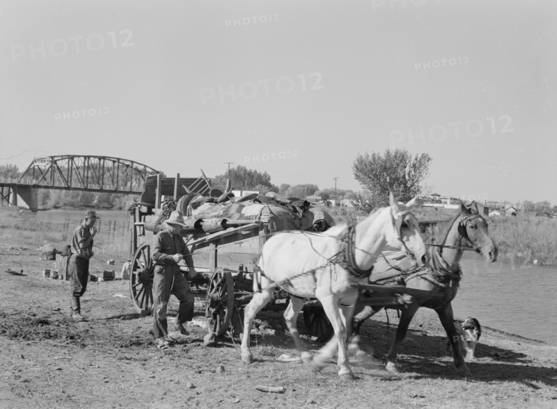 Migrant family cleaning up. Near Vale, Malheur County, Oregon.