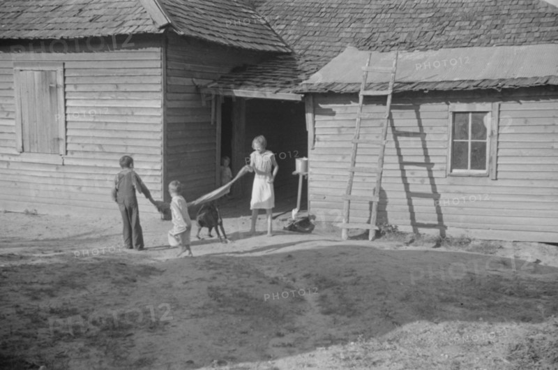 Burroughs children playing in the yard, Hale County, Alabama.