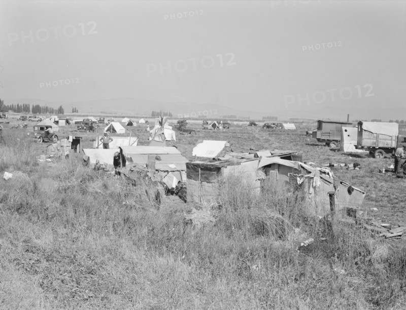 Potato pickers' camp. Tulelake, Siskiyou County, California.