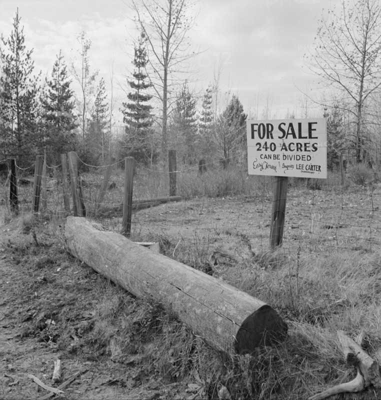 Sign on back road in cut-over area. Boundary County, Idaho.