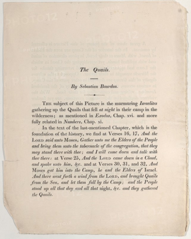 Sheet with "The Quails" by Sebastian Bourdon, 18th century.