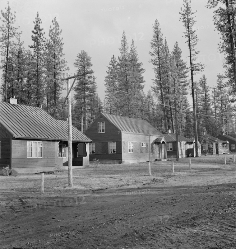 Row of model homes in millworkers town. Gilchrist, Oregon.