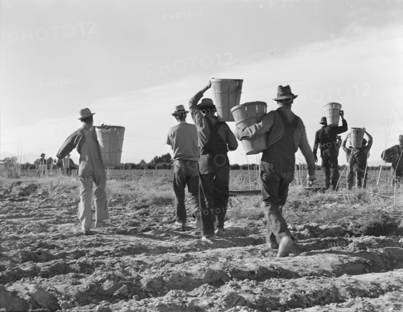 Pea pickers. End of the day. Near Calipatria. California.