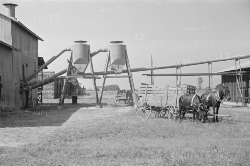 Cotton gin and wagons. Vicinity of Moundville, Alabama.