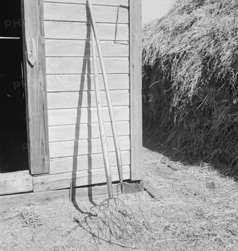 Hay forks. Northern Oregon farm. Morrow County, Oregon.