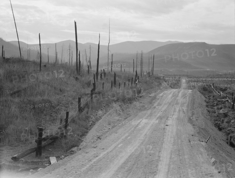 Shows character of cut-over area. Bonner County, Idaho.