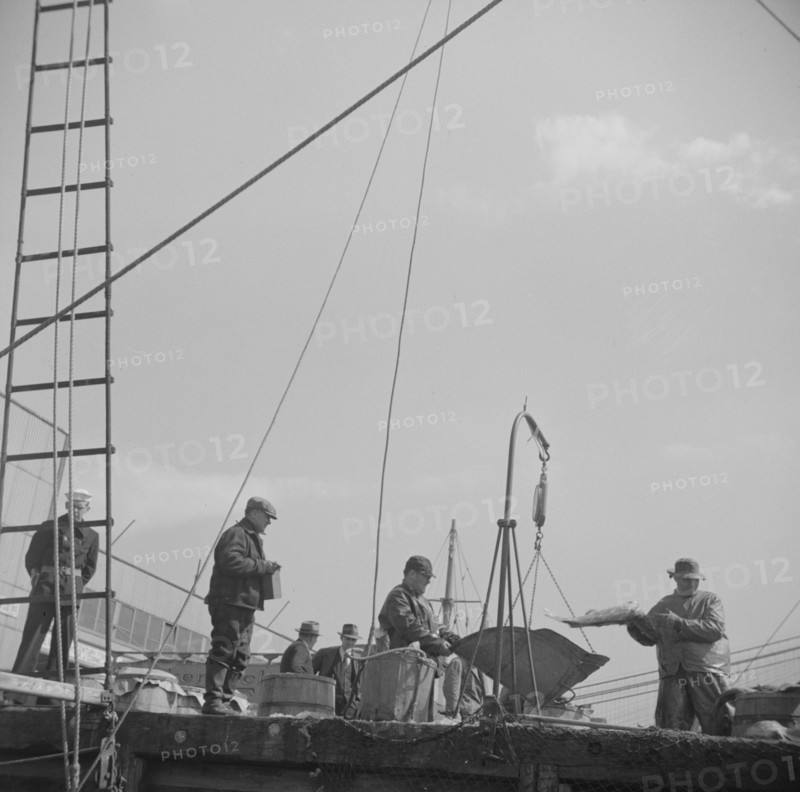 New York, New York. A scene at the Fulton fish market.