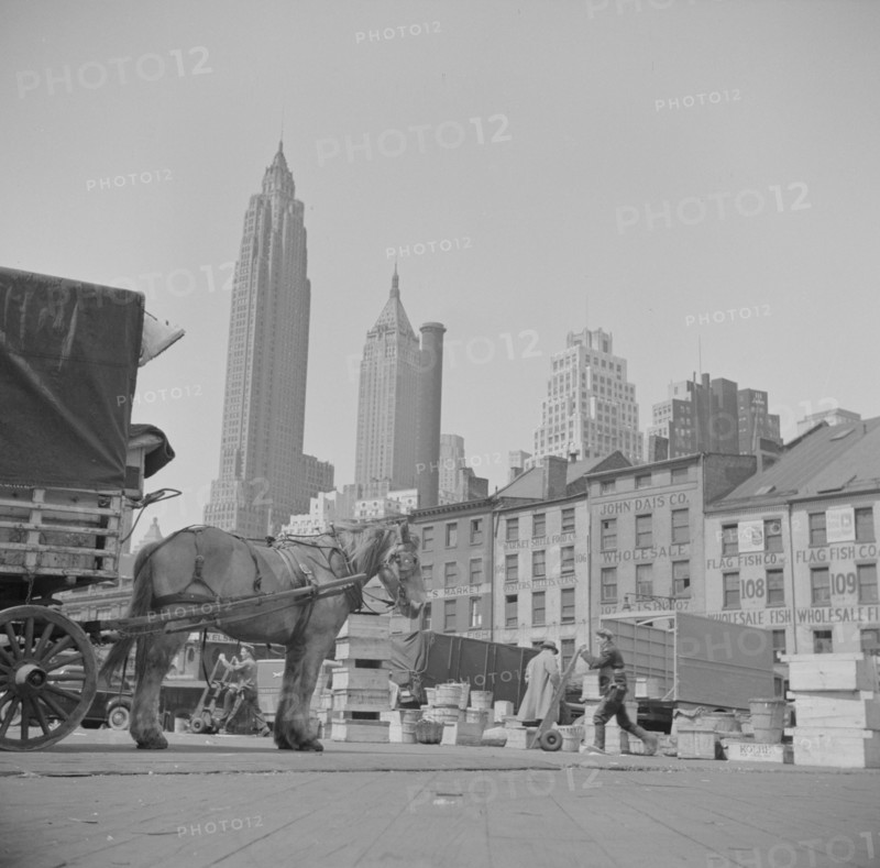 New York, New York. A scene at the Fulton fish market.