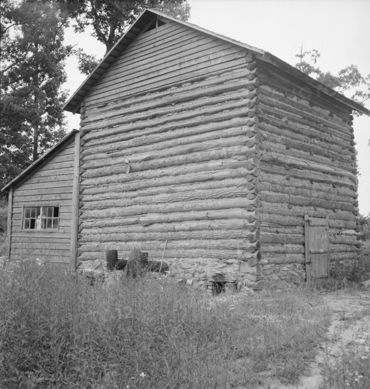 Tobacco barn and shed. Person County, North Carolina.