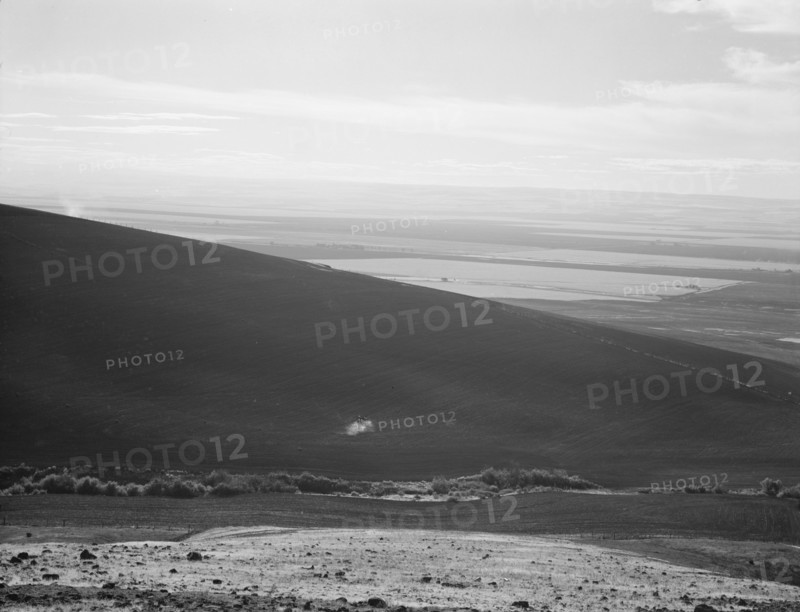 Umatilla Valley wheat farms. Umatilla County, Oregon.