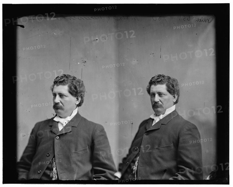 Brewer, Hon. M.S. of Michigan, between 1865 and 1880.