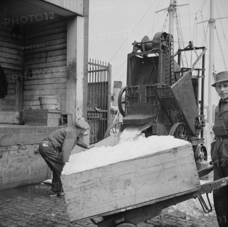 New York, New York. Ice used to store fish in ships.