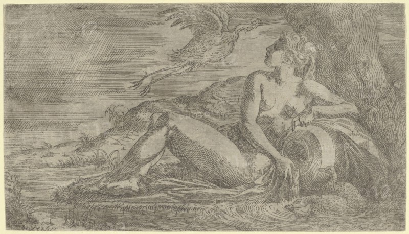 Nymph Watching a Heron Flying Away, ca. 1542-45.