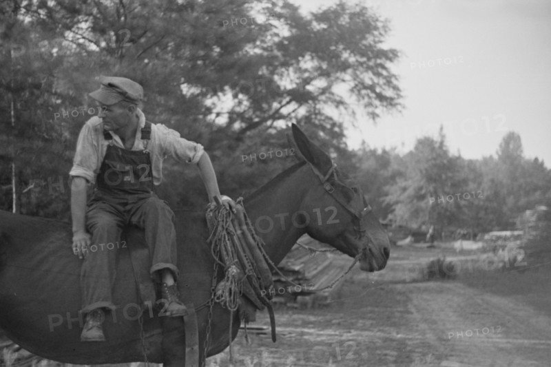 Floyd Burroughs, on mule, Hale County, Alabama.