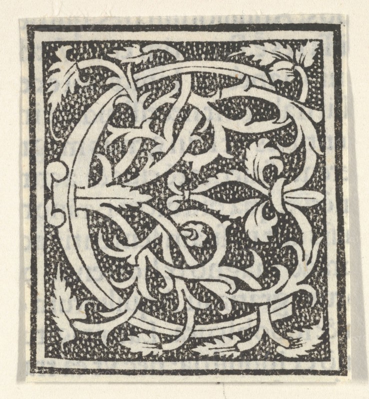 Initial letter C on patterned background, 1520.