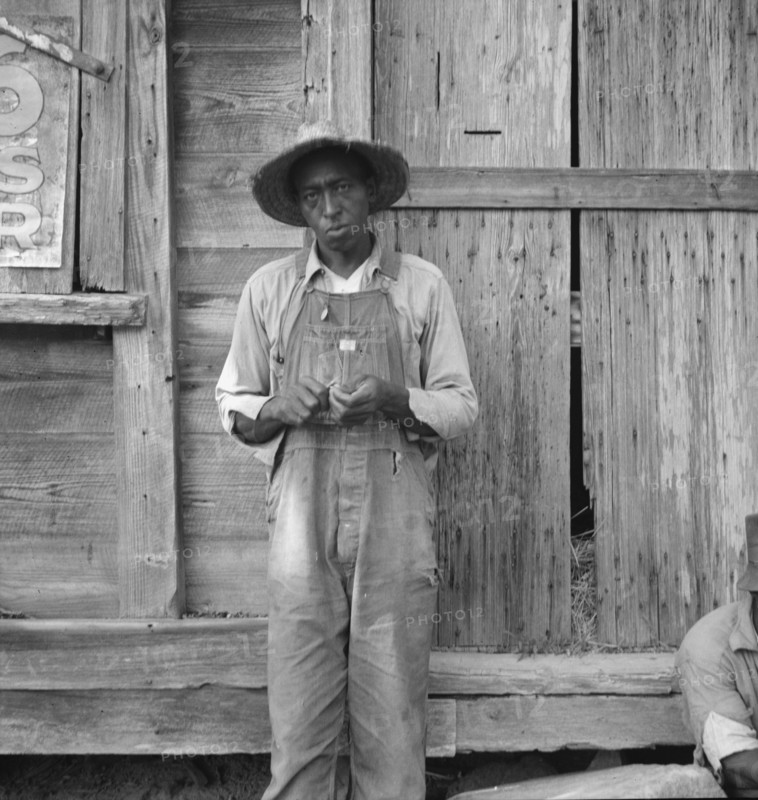 Tenant farmer. Chatham County, North Carolina.