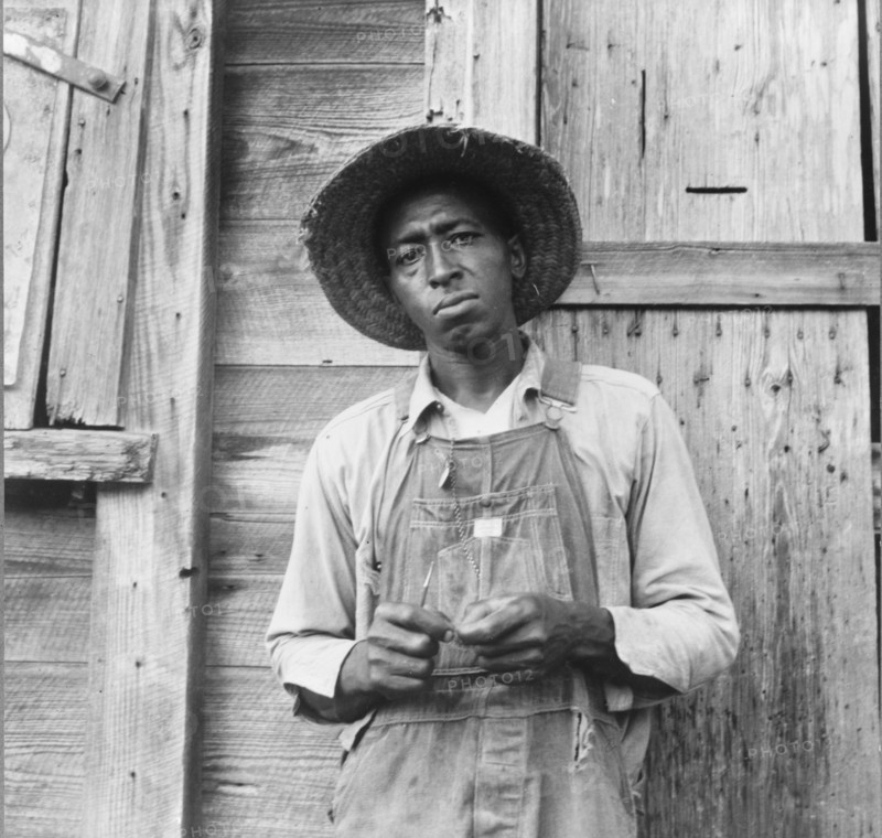 Tenant farmer. Chatham County, North Carolina.