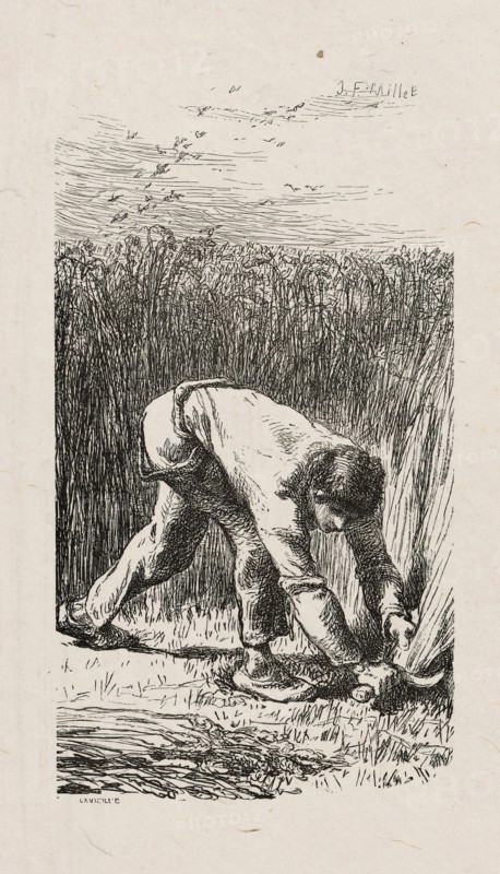 Reaper, 1853, after drawing made in 1852.