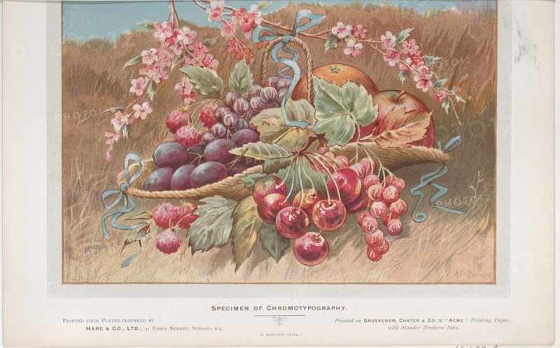 Trade Card for Hare & Co., Ltd, 1910.