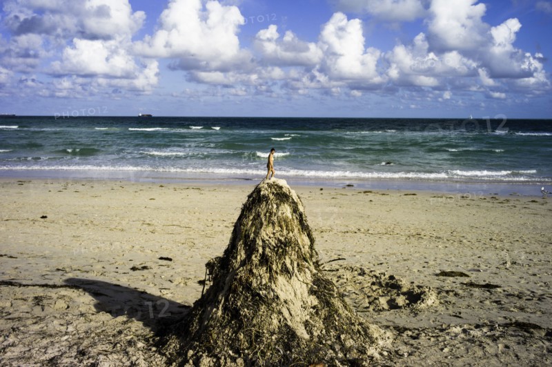Lummus Park, Miami Beach, Miami, FL.