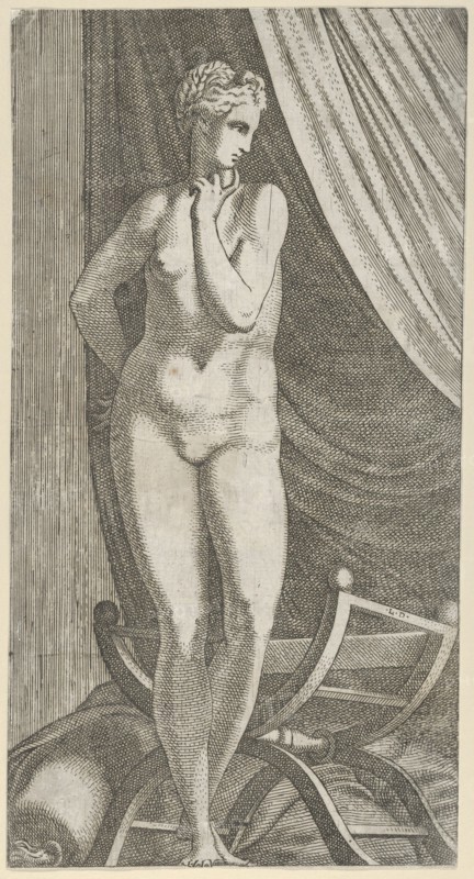 Standing Nude Woman, 1540-56.