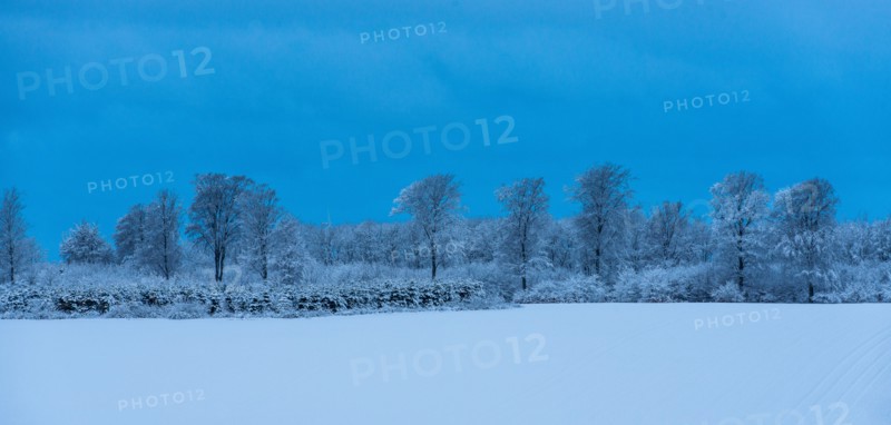 Danish Winter Morning.