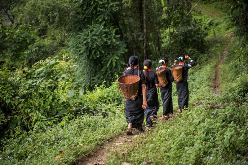 Going to the Field.