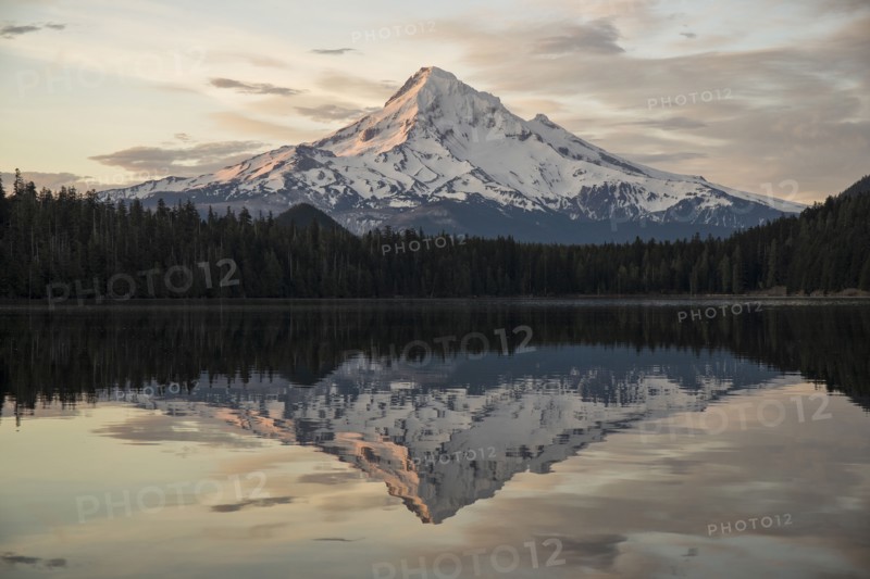 Mount Hood Morning.