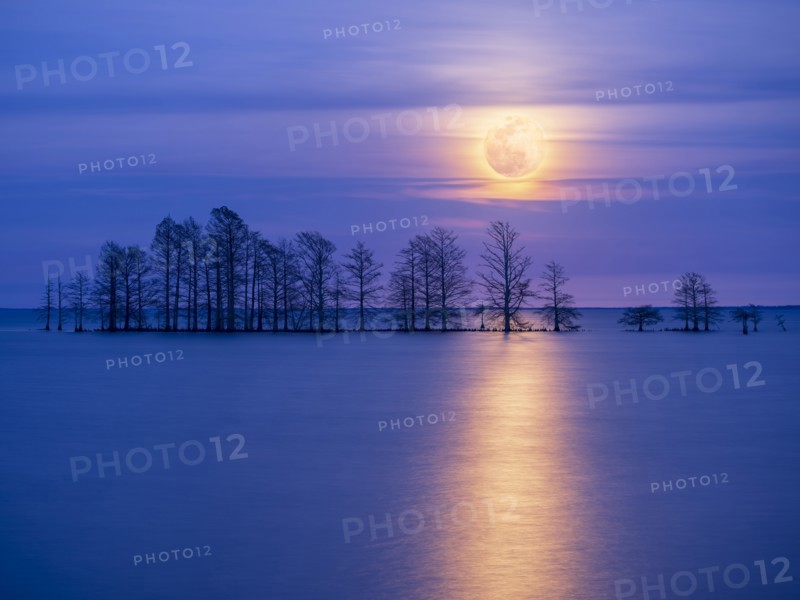 Moonlight Sonata.