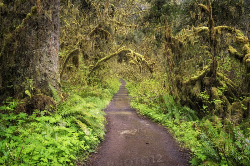 Path of Solitude.