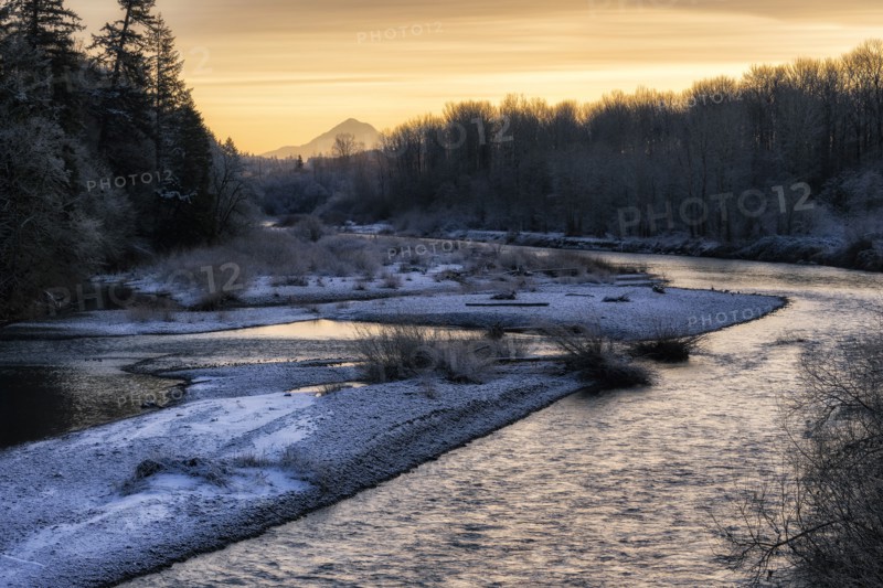 WInter Morning.
