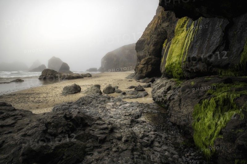 Oregon Coast.