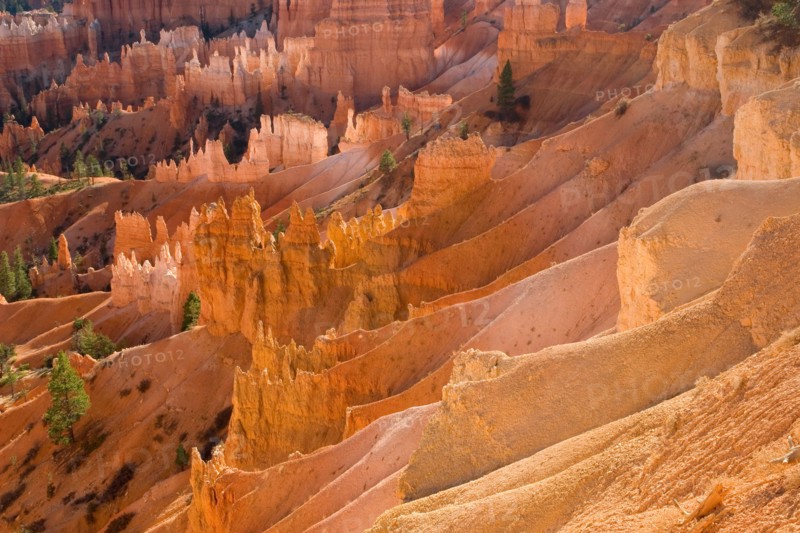 Bryce Canyon.