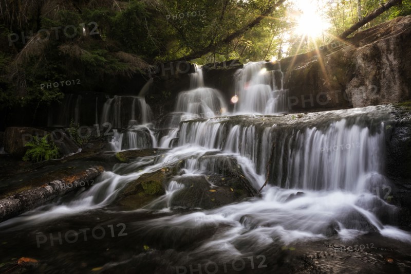 Alsea Falls.