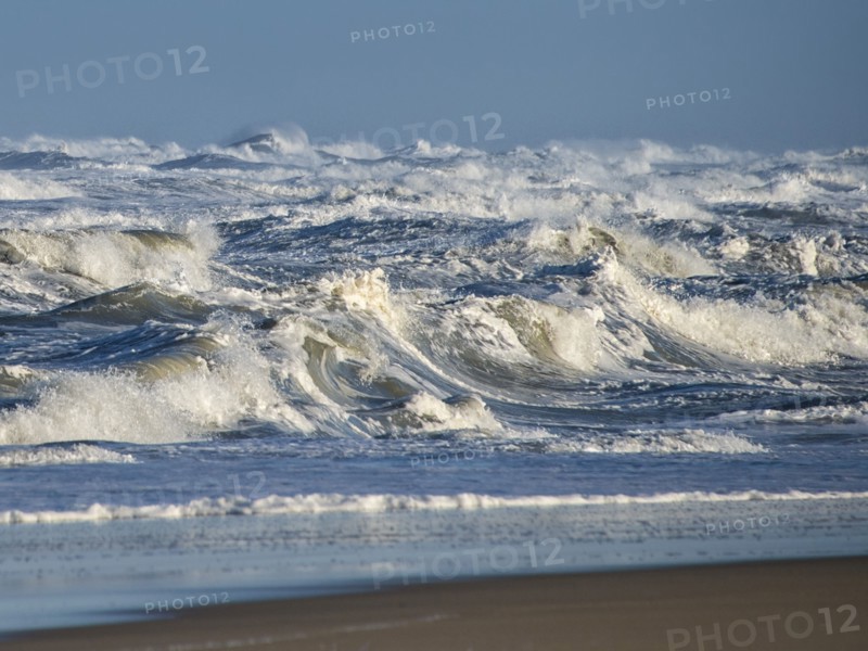Surfs Up.