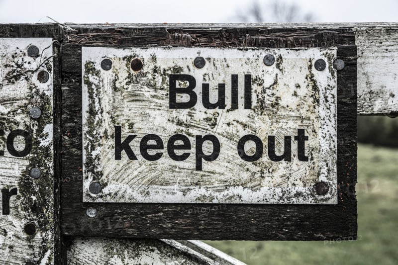 Byland Abbey, Byland, Byland with Wass, Ryedale, North Yorkshire, 2020. Creator: Alun Bull.