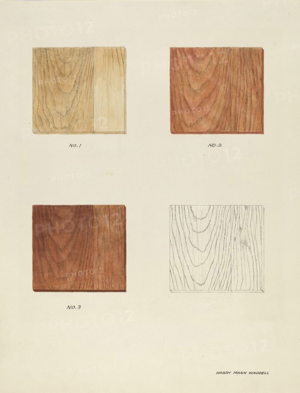 Wood Grain (Demo.), 1935/1942. Creator: Harry Mann Waddell.