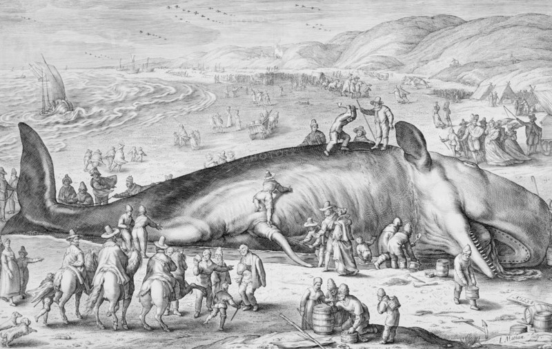 Beached Whale, 1598. Creator: Jacob Matham.