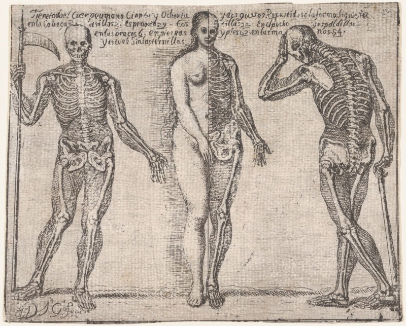 Studies of three skeleton, from the 'Principios para estudiar el Nobilísimo y Real art..., ca. 1693. Creator: José García Hidalgo.