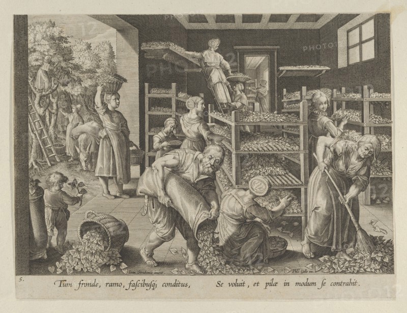 The Gathering of Mulberry Leaves and the Feeding of the Silkworms, Plate 5 from "The I..., ca. 1595. Creator: Karel van Mallery.
