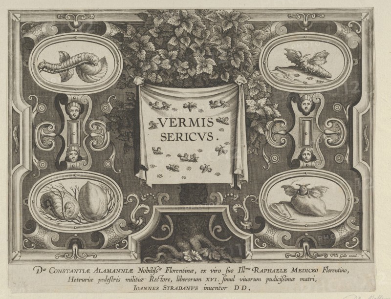 Title Plate from "The Introduction of the Silkworm" [Vermis Sericus], ca. 1595 Creator: Karel van Mallery.