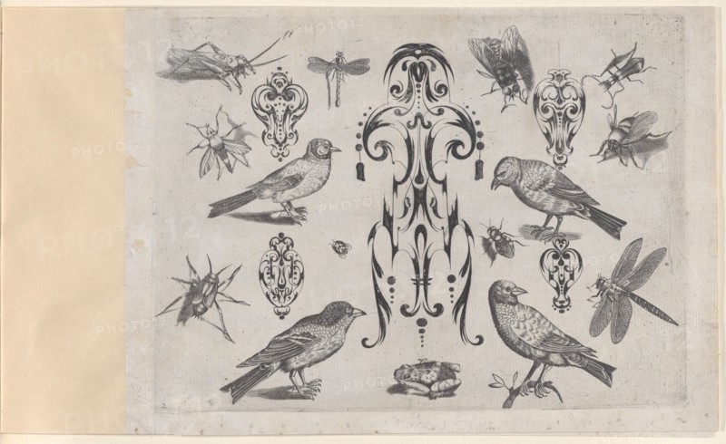 Blackwork Designs with Birds and Insects, Plate 2 from a Series of Blackwork Ornamen..., after 1622. Creator: Meinert Gelijs.