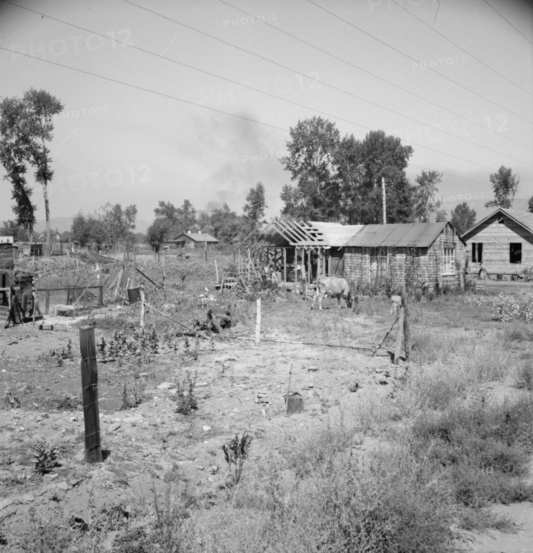 Untitled, 1935-1942. [Rural smallholding]. Creator: Unknown.