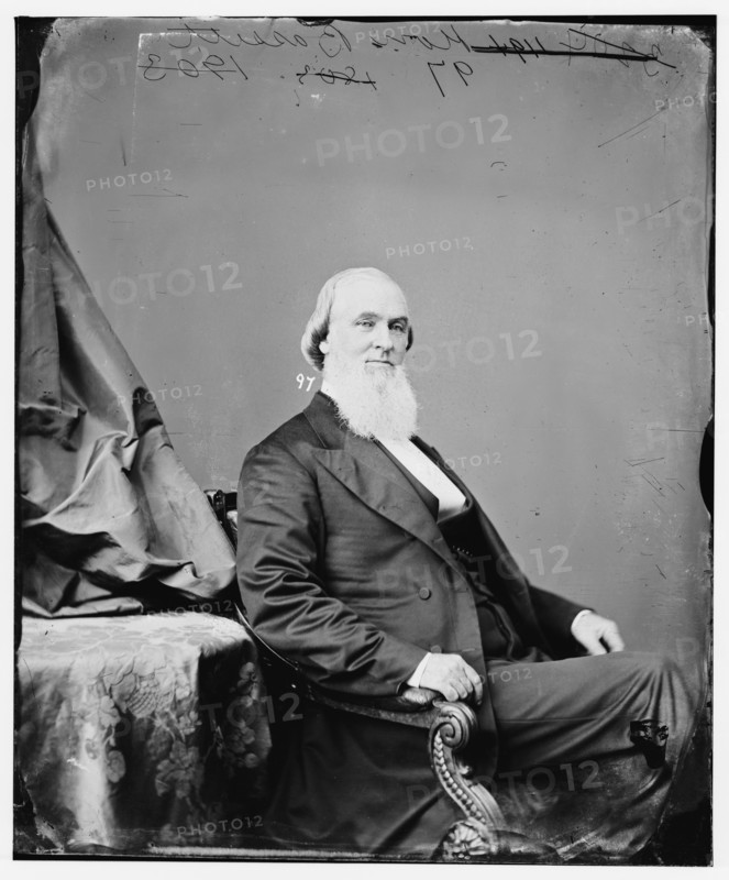 Bassett, between 1860 and 1875. Creator: Unknown.